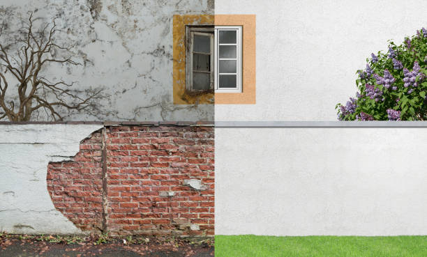 Best Environmental Consulting for Mold Prevention  in Lexington, WA